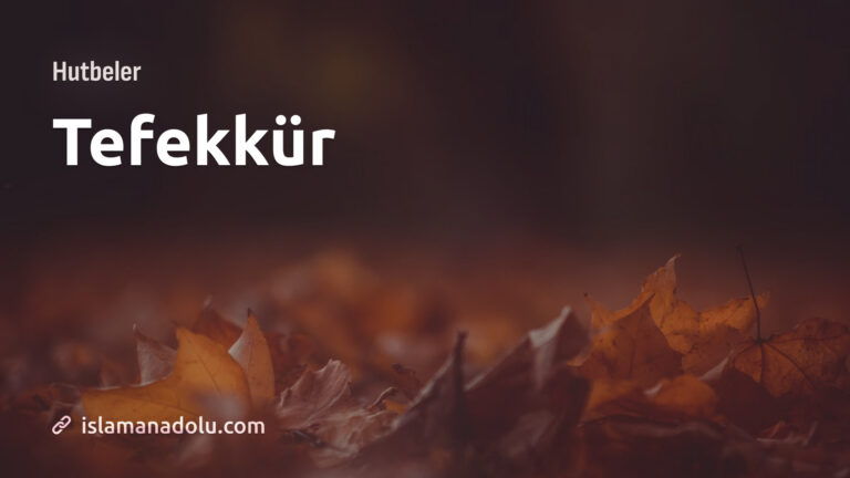 TEFEKKÜR
